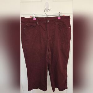 Judy Blue Burgundy Denim Jeans Pants Size 20W